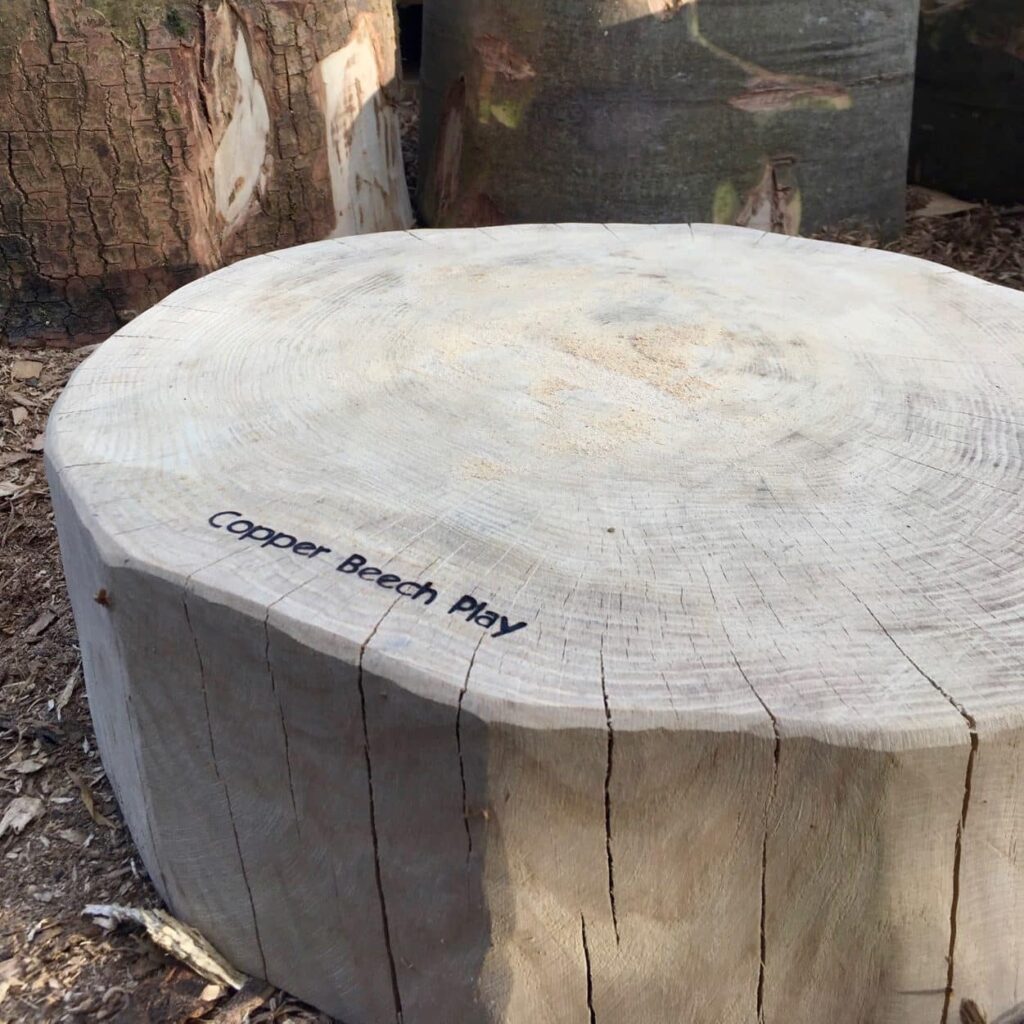 Disc Stepping Logs - Copper Beech Play