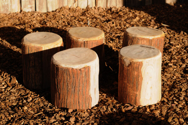 Rustic Log Seats x5 - Image 2