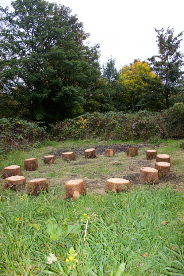 Rustic Log Seats x5 - Image 4